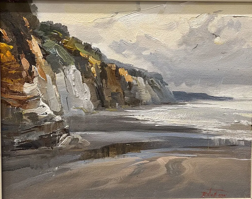 Don Neilson - North Taranaki Coast Image 1++