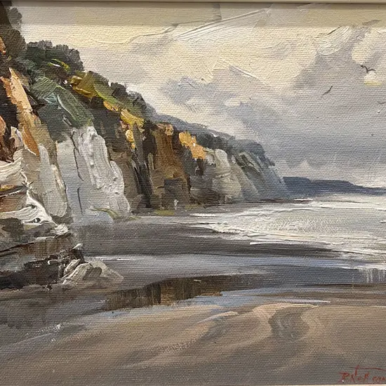 Don Neilson - North Taranaki Coast