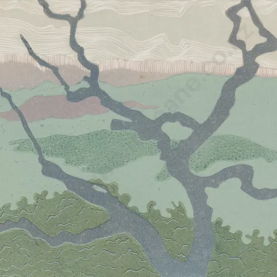 N Bourke - This Beautiful Earth