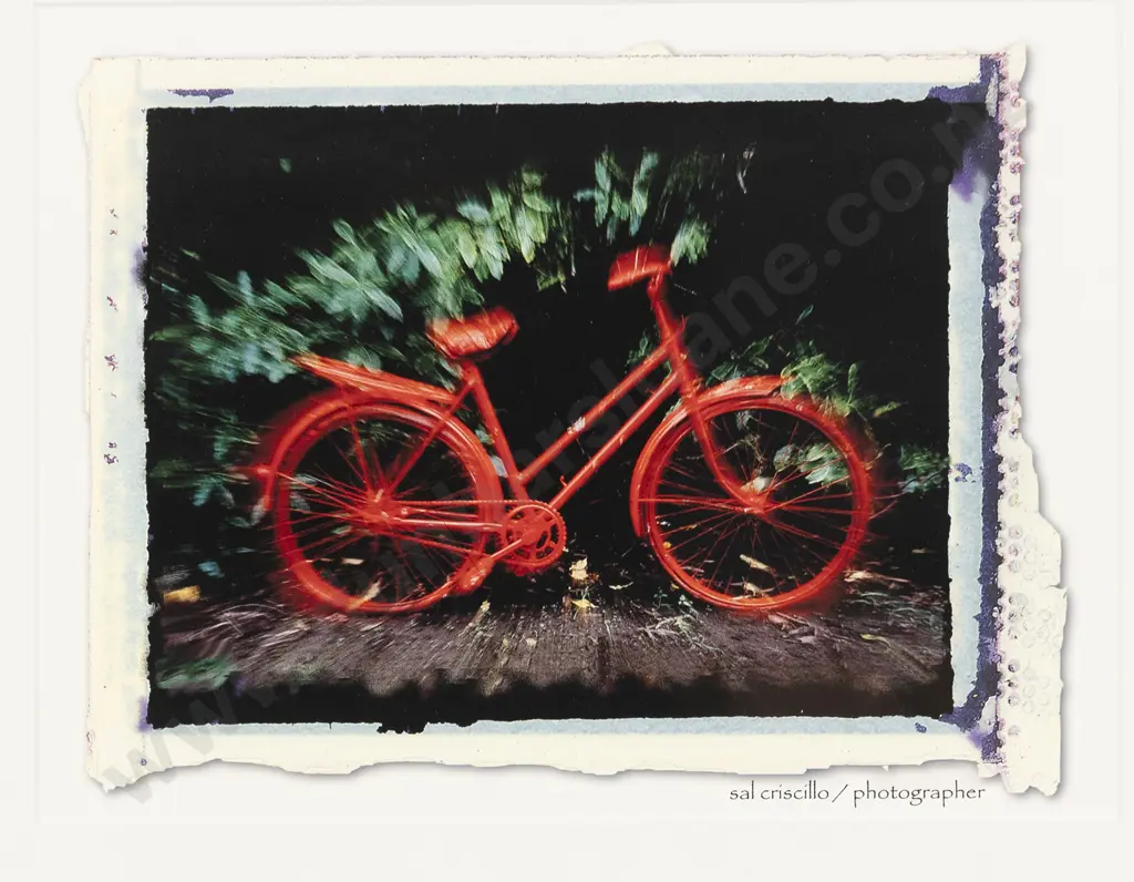 Pair Sal Criscillo Photographic Prints Image 1++