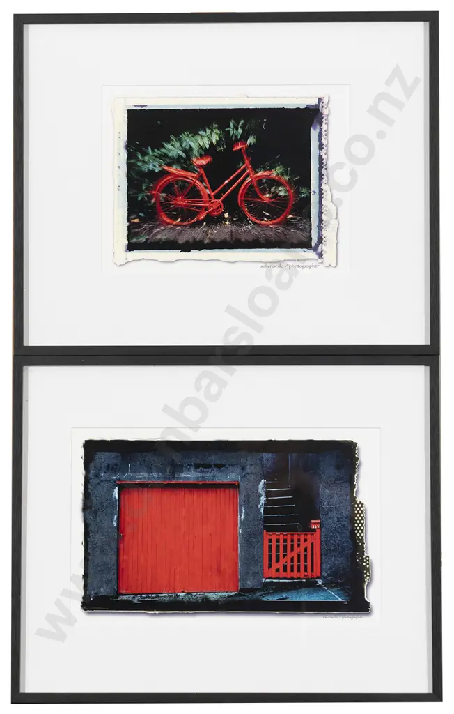 Pair Sal Criscillo Photographic Prints Image 1++