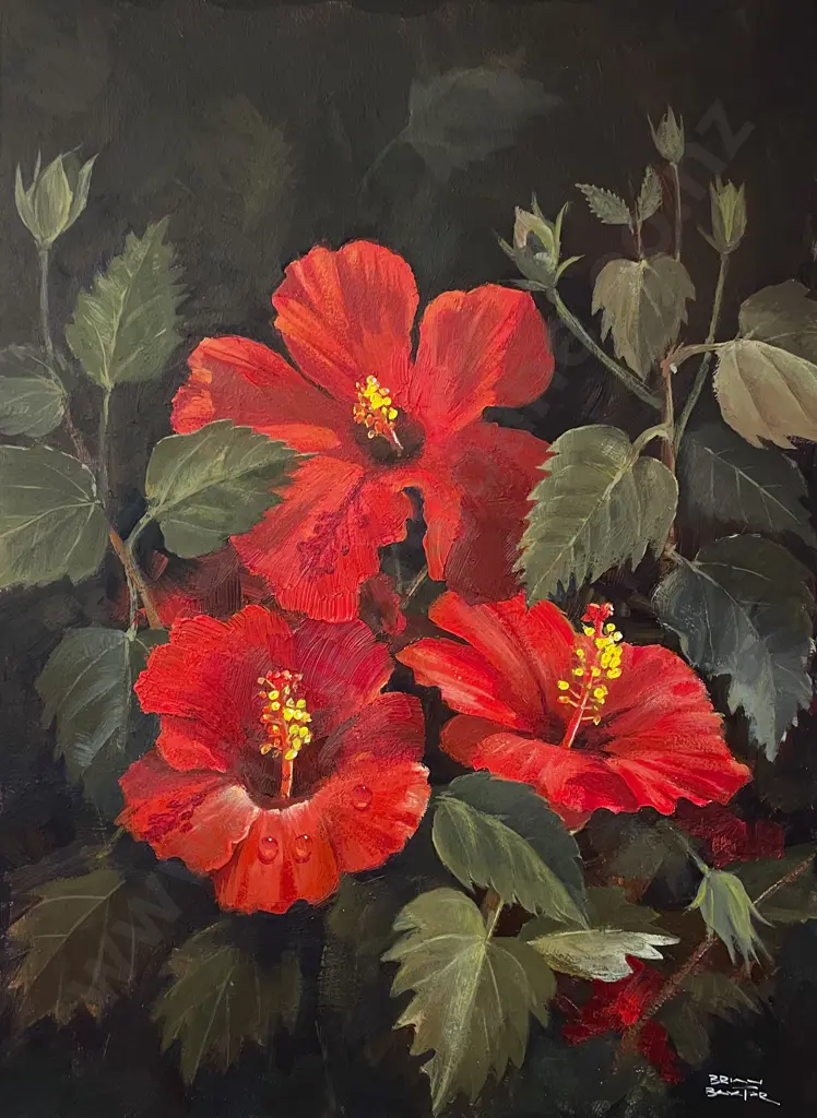 Brian Baxter - Red Hibiscus Image 1++
