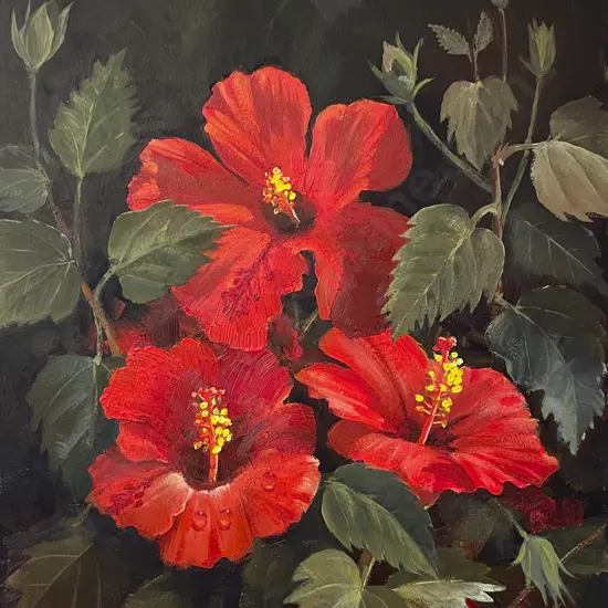 Brian Baxter - Red Hibiscus
