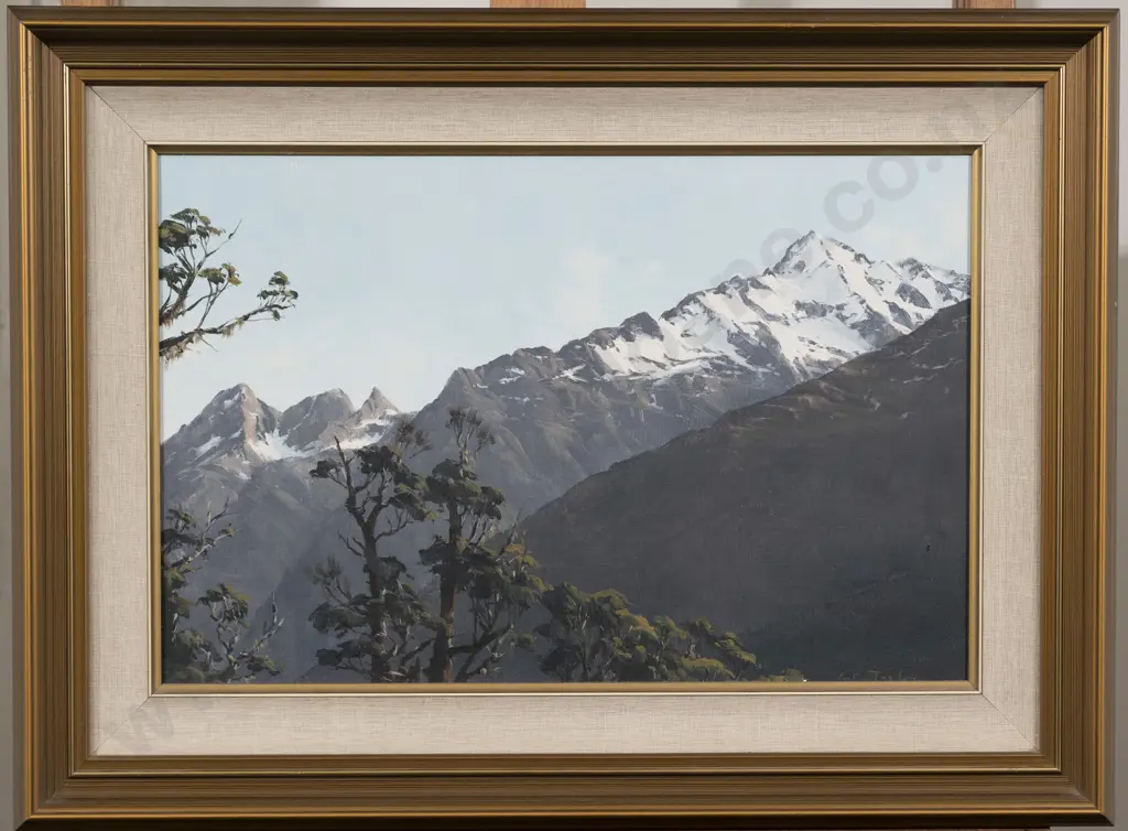 Graham Taylor - Above the Hollyford Fiordland Image 1++