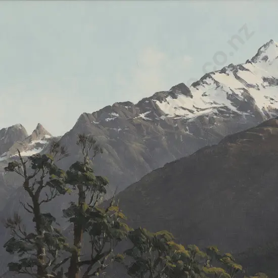 Graham Taylor - Above the Hollyford Fiordland
