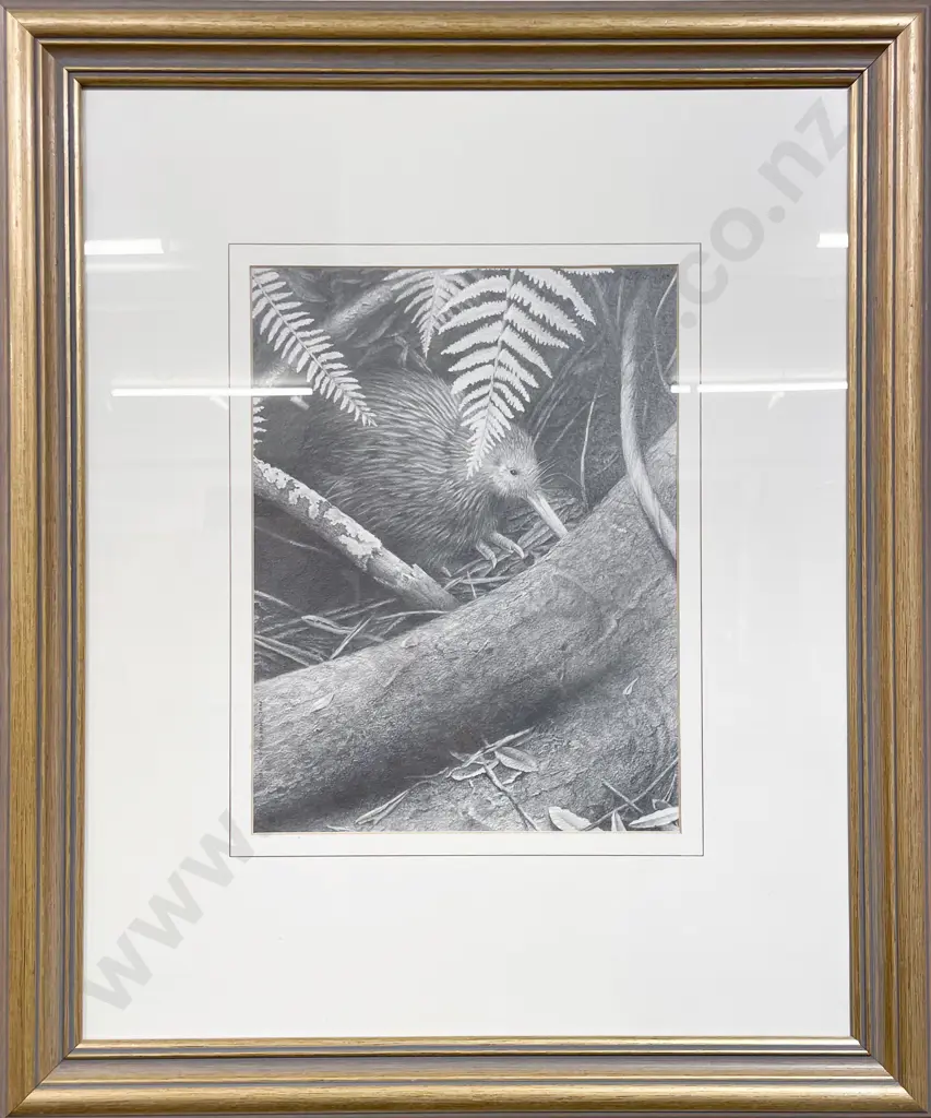Paul Martinson - Kiwi - Graphite on Paper Image 1++