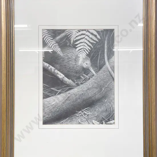 Paul Martinson - Kiwi - Graphite on Paper