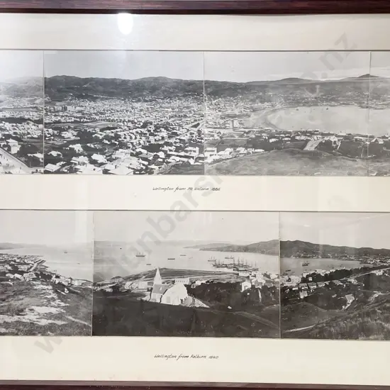 Two Panoramic Photographs of Wellington