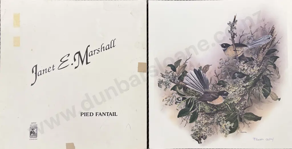 Janet Marshall - Fantail - Print - Proof Copy (unframed) Image 1++