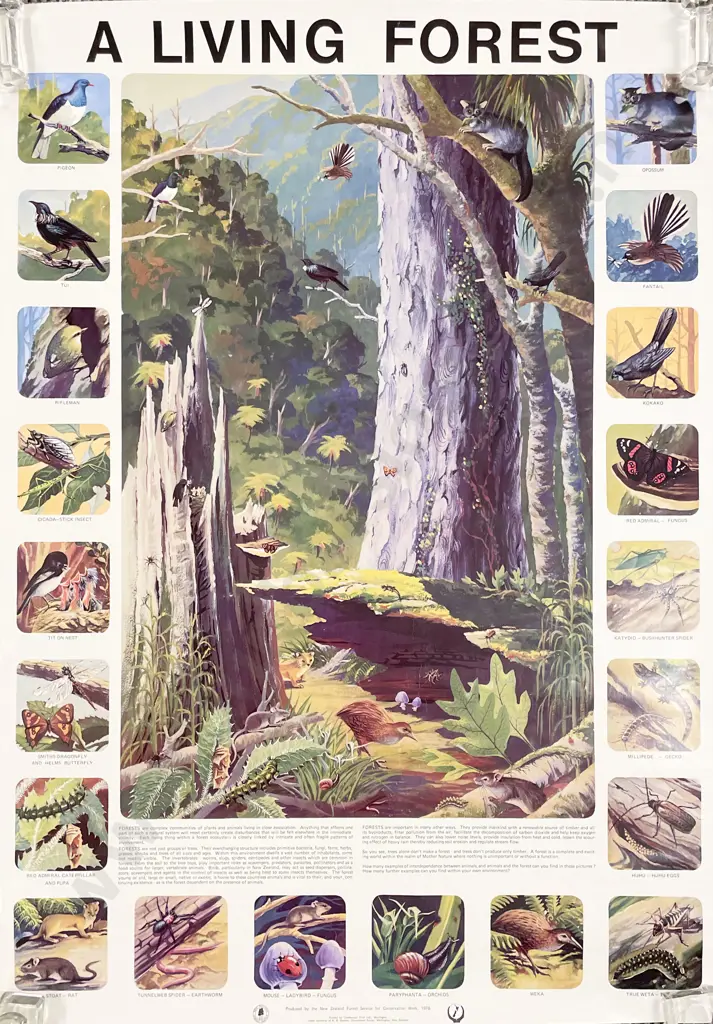Four NZ Related Unframed Posters & Others Image 1++