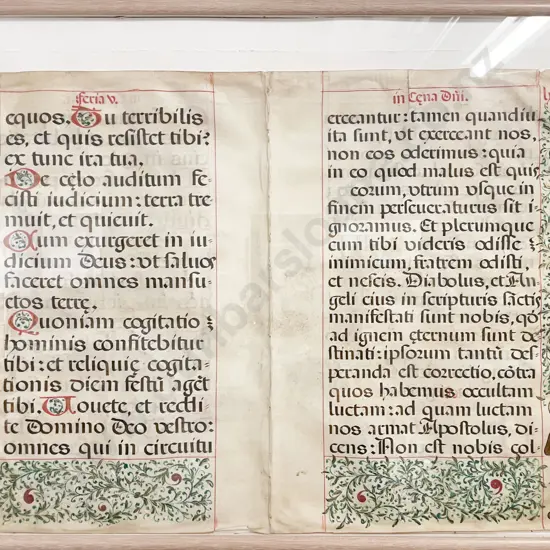 Framed Antique Illumination on Vellum - Complete Page