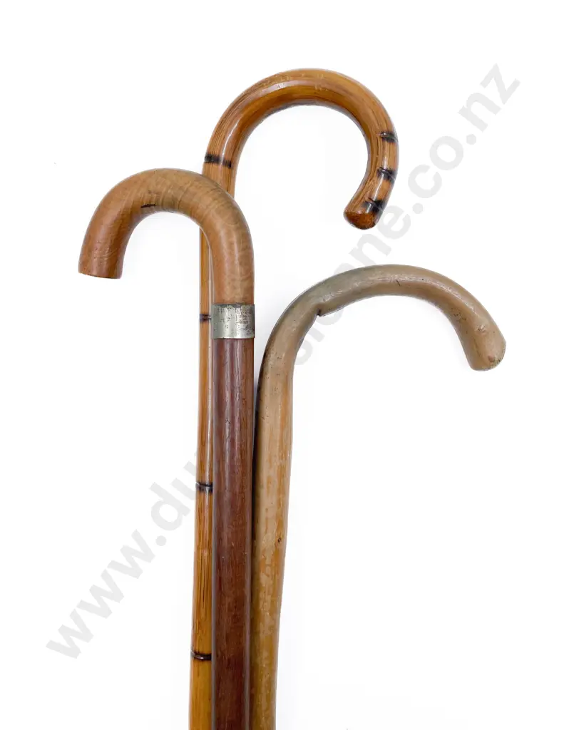 Three Walking Canes Image 1++