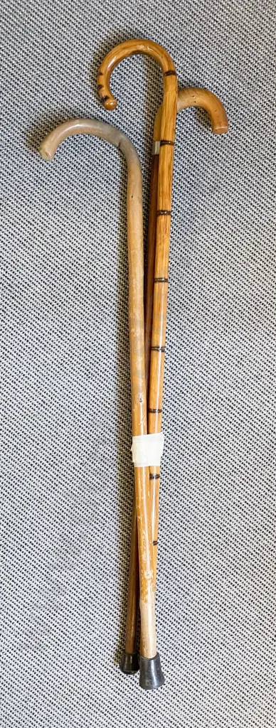 Three Walking Canes Image 1++