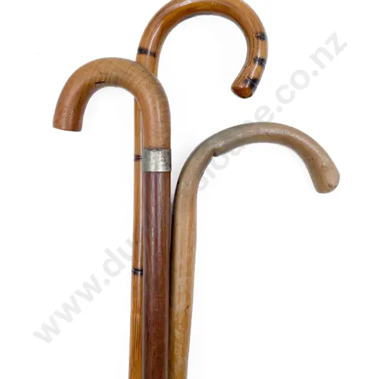 Three Walking Canes