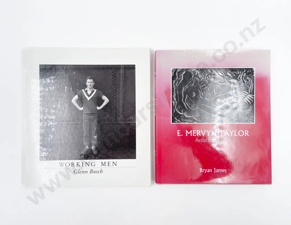 2 New Zealand Art Books Image 1++