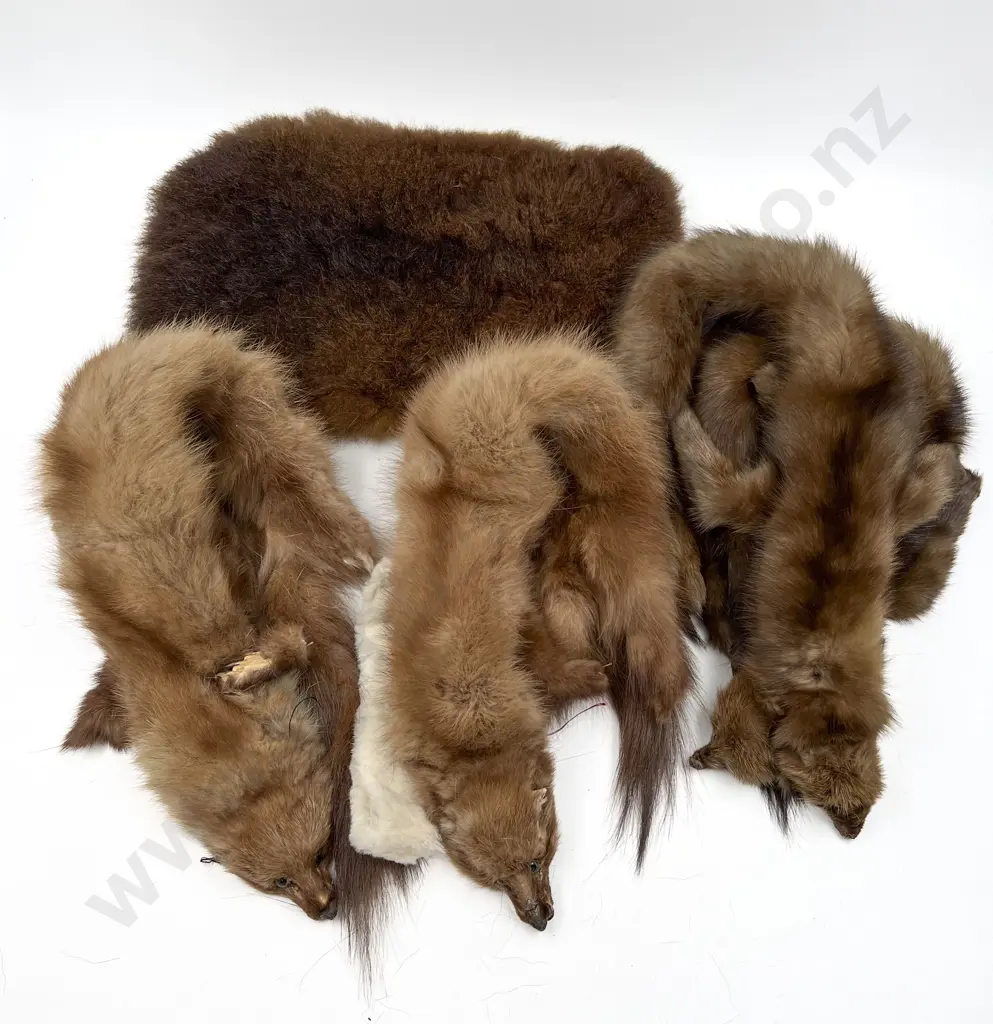 Three Vintage Fur Shoulder Pieces & Possum Hottie Cover Image 1++