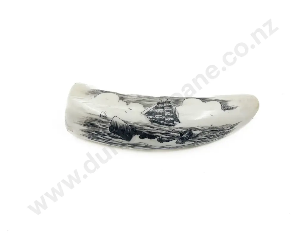 Whale Tooth with Modern Scrimshaw of Whaling Scene Image 1++