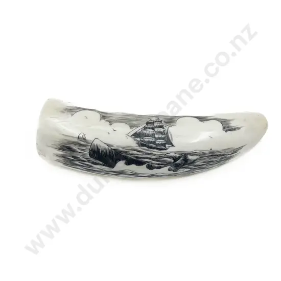 Whale Tooth with Modern Scrimshaw of Whaling Scene