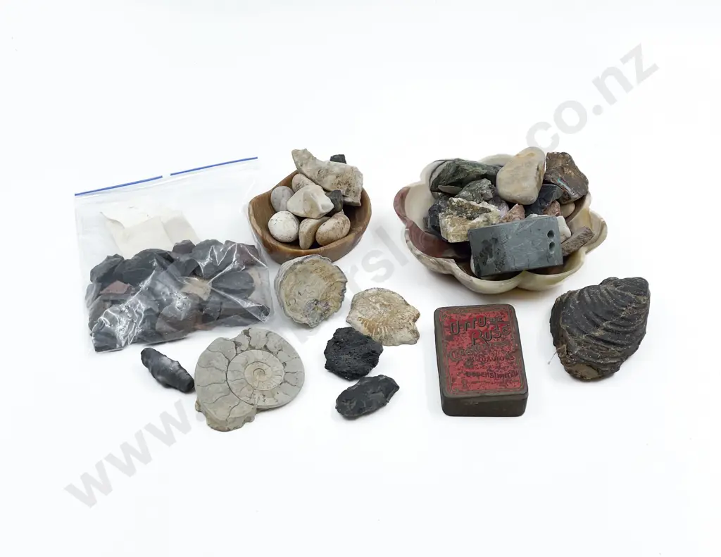 Collection of Fossil Pieces Various & Flints Image 1++