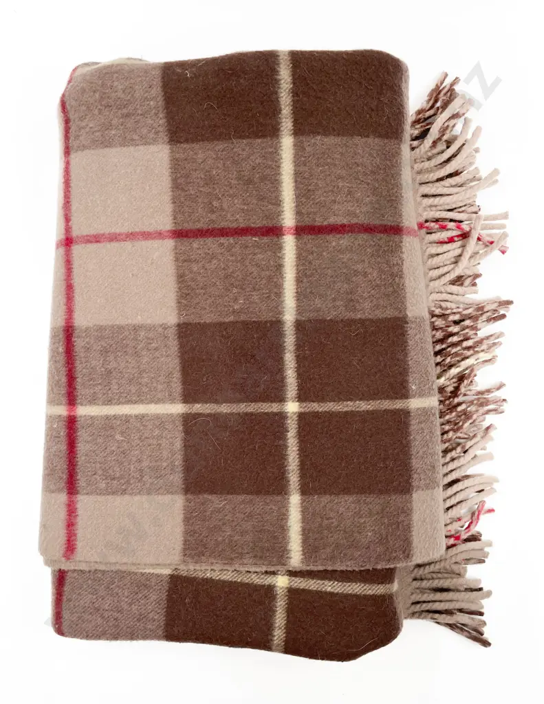 Kaiapoi Woollen Co ChCh Vintage Travel Rug Image 1++