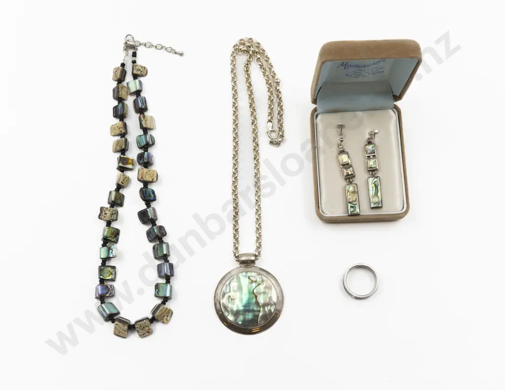 NZ S/S Paua Necklace Image 1++