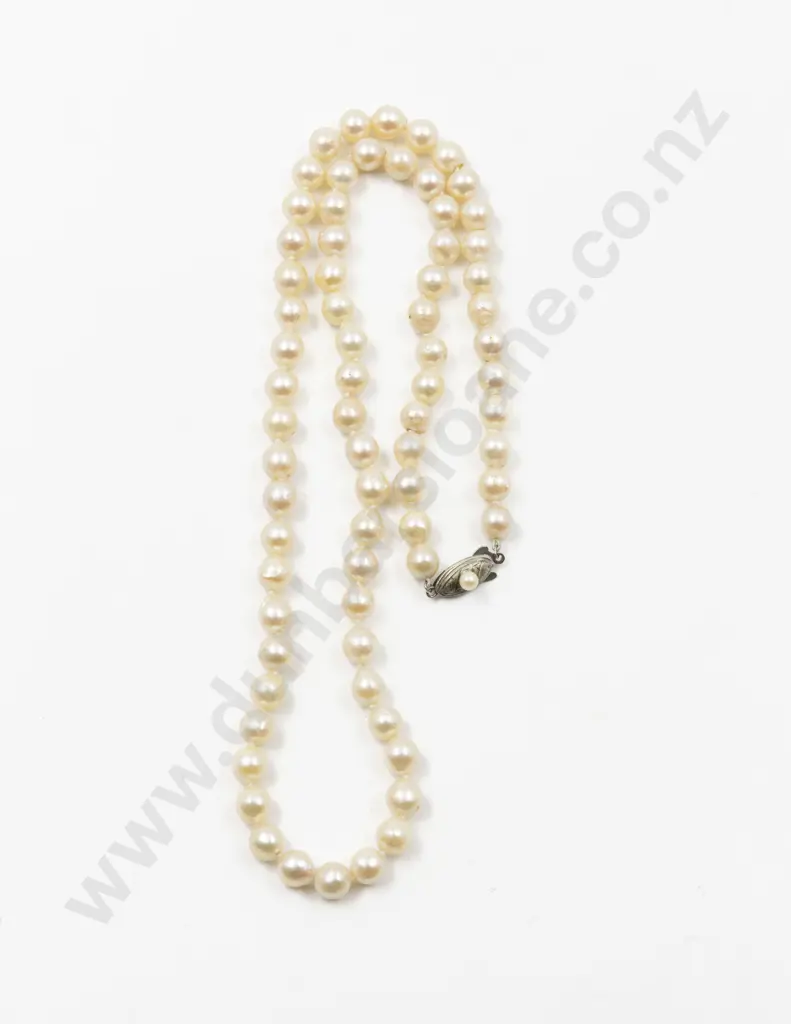 Uniform Single Strand Cultured Pearl Necklace Image 1++
