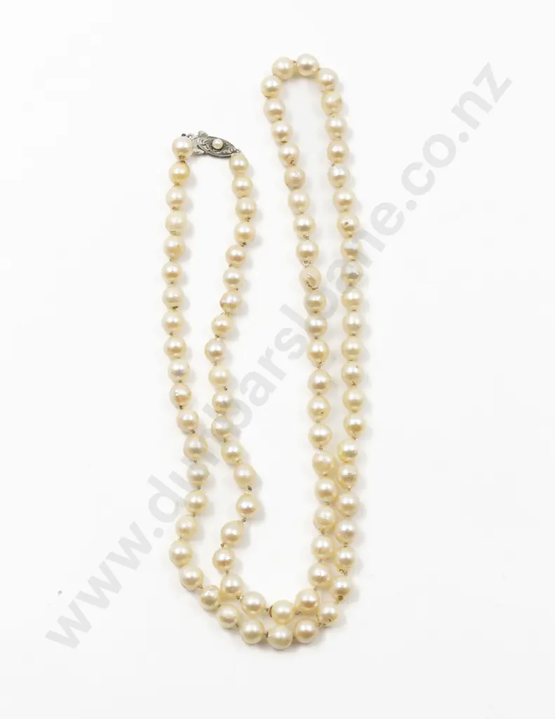 Uniform Single Strand Cultured Pearl Necklace Image 1++