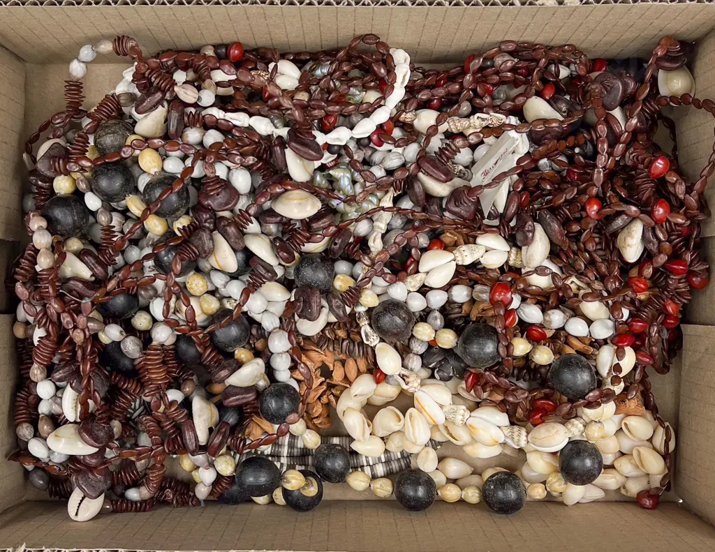 Collection Pacific Island Shell and Seed Necklaces Image 1++