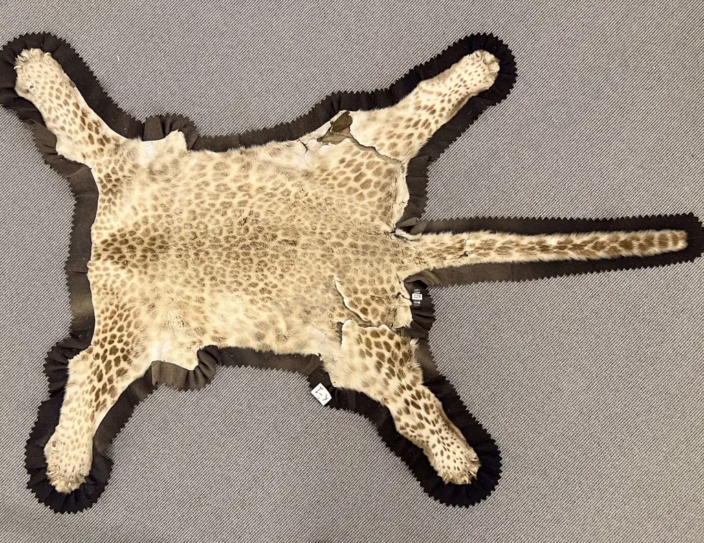 Antique Leopard Skin Image 1++