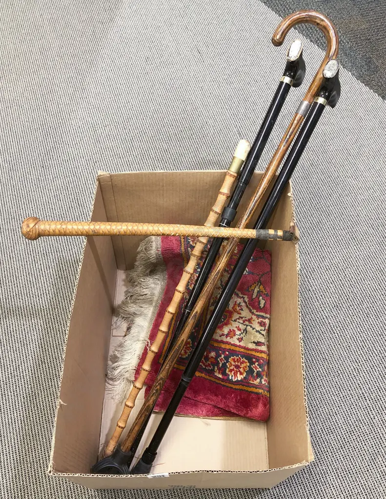 Quantity of Assorted Walking Sticks together with Floor Mat Image 1++