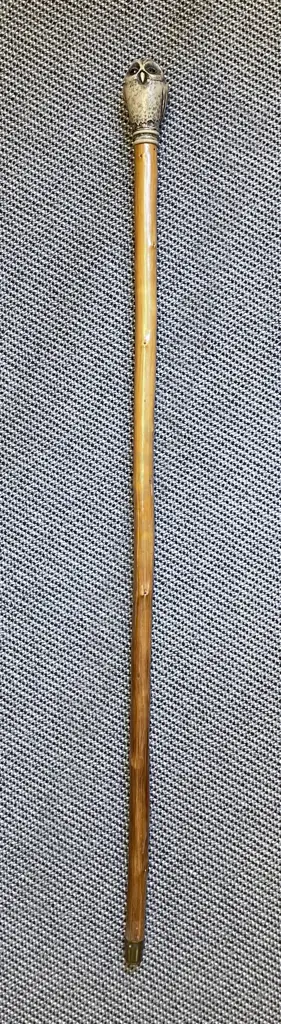 Walking Cane with Owl Form Handle Image 1++