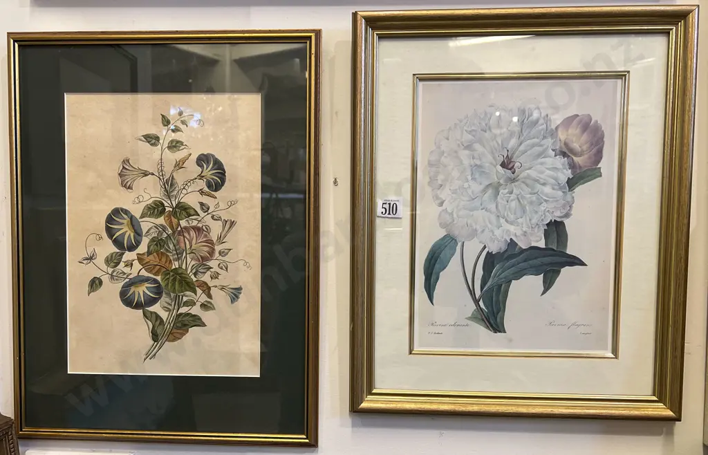 Two Botanical Studies Image 1++