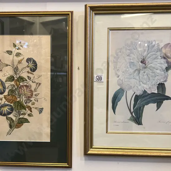 Two Botanical Studies