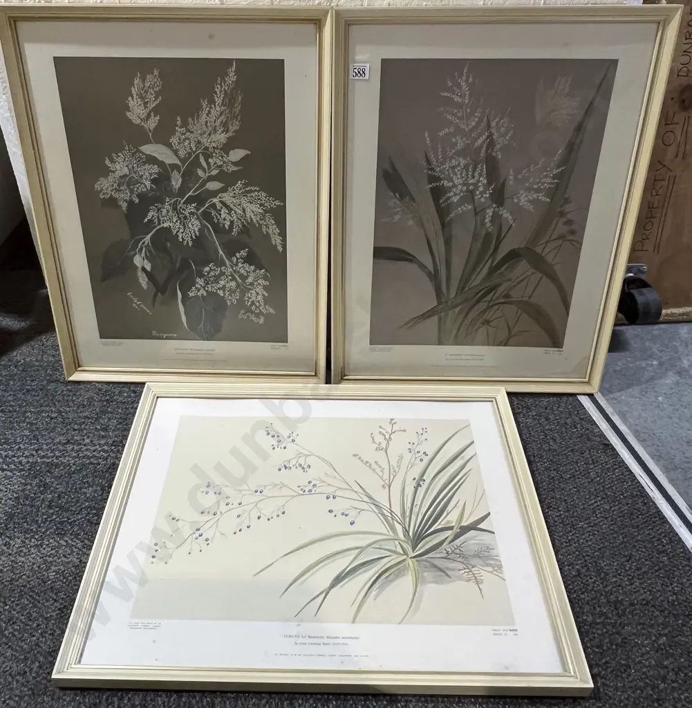 Three Framed Botanical Prints Image 1++