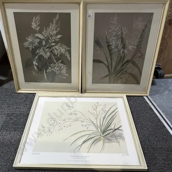 Three Framed Botanical Prints