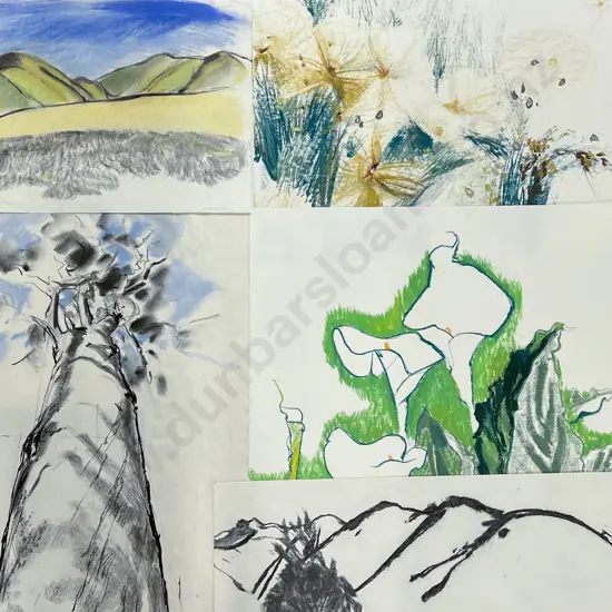 Susan Skerman - Large Quantity Unframed Sketches