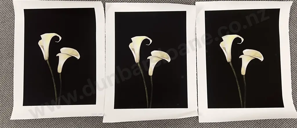 Chris Wright - Three Unframed Lithopraphic Image 1++