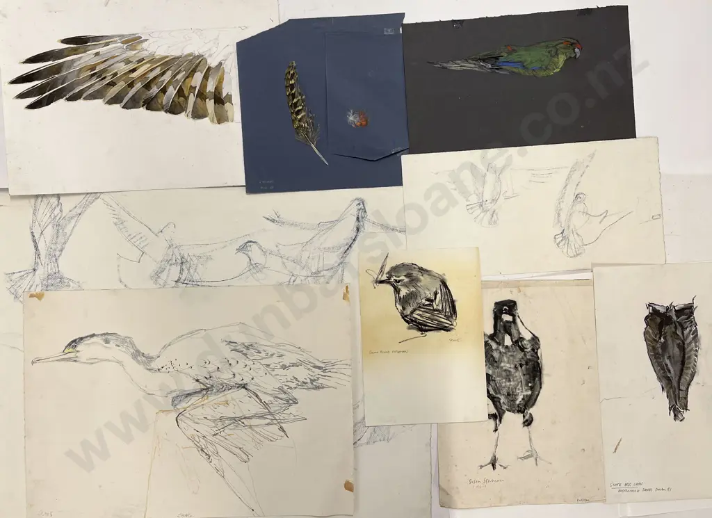 Susan Skerman - Quantity Unframed Sketches Image 1++
