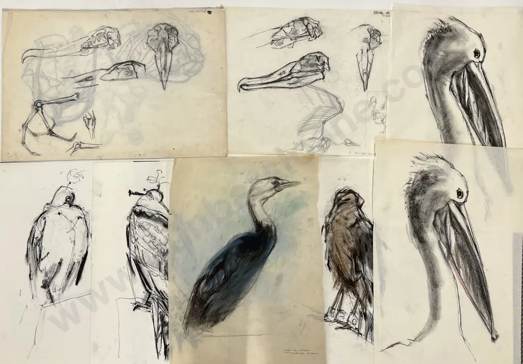 Susan Skerman - Quantity Unframed Sketches Image 1++