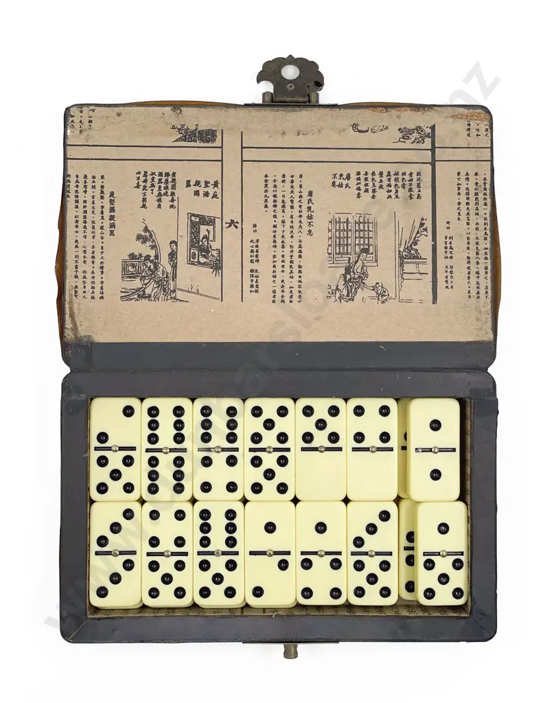 Cased Domino Set Image 1++