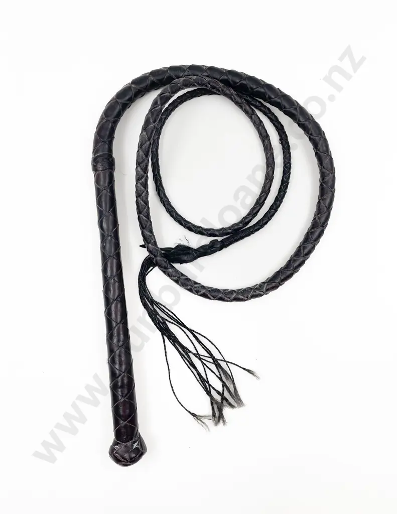 Vintage Leather Bull Whip Image 1++