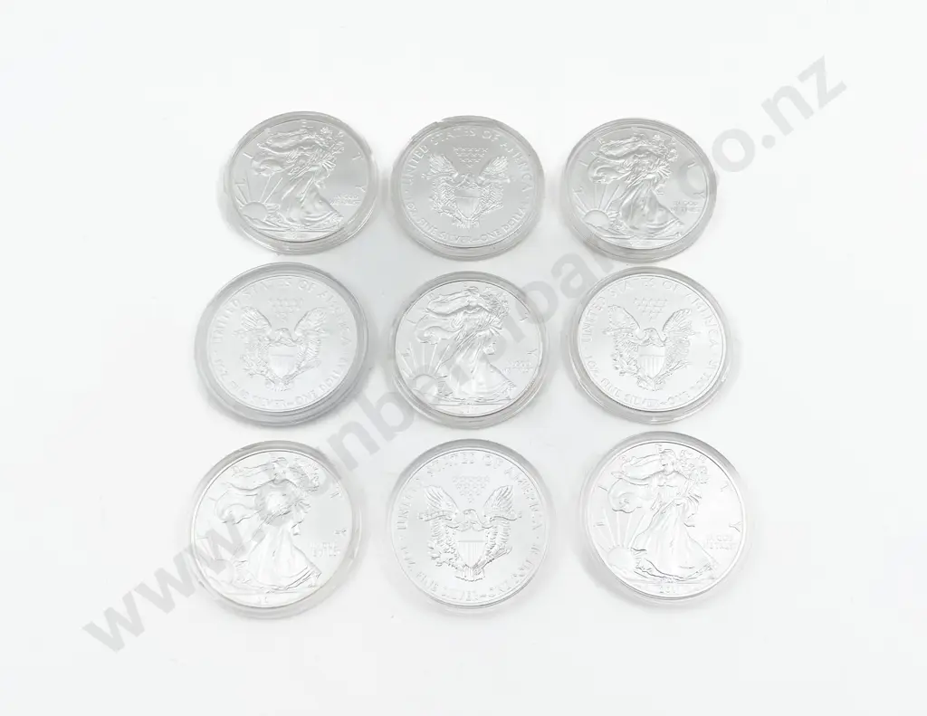 USA 2011 American Eagle Proof $1 Coins 1oz Fine Silver x 9 Image 1++