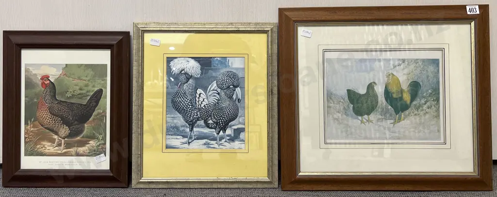 Three Reproduction Vintage Poultry Prints Image 1++