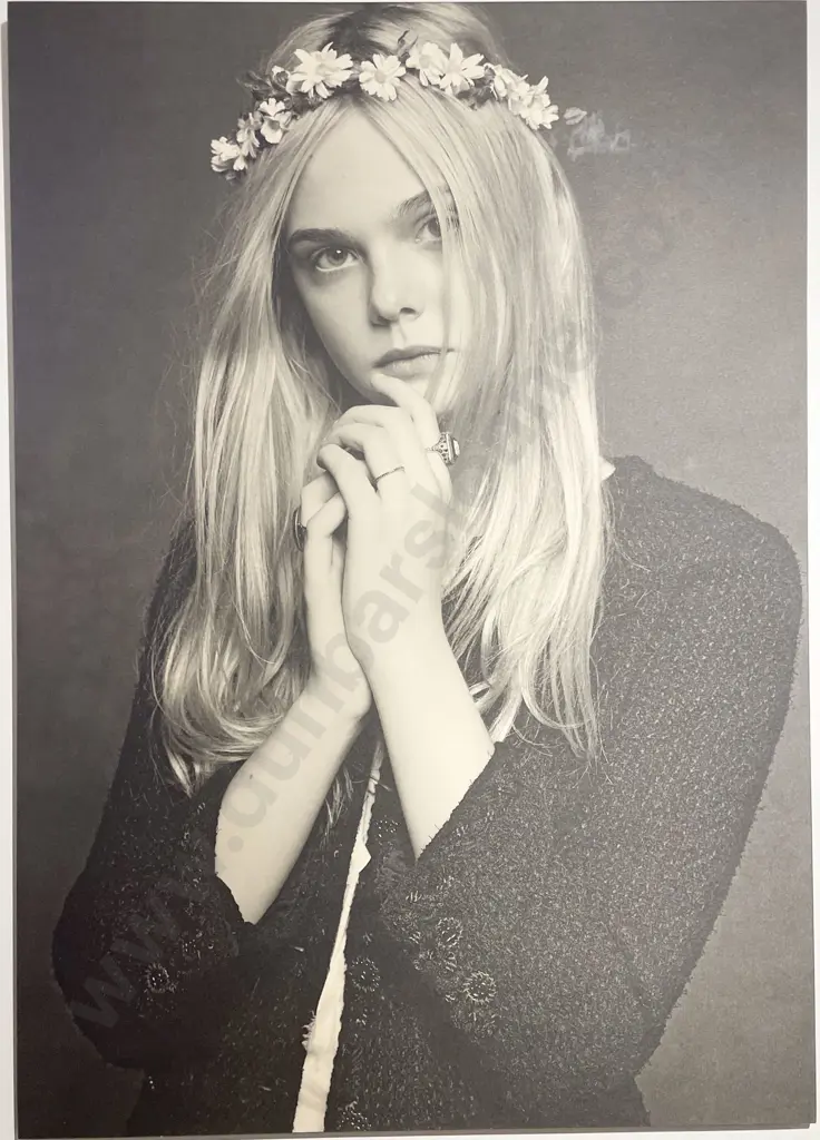 Three Karl Lagerfeld Chanel Little Black Jacket Posters on Boards Image 1++