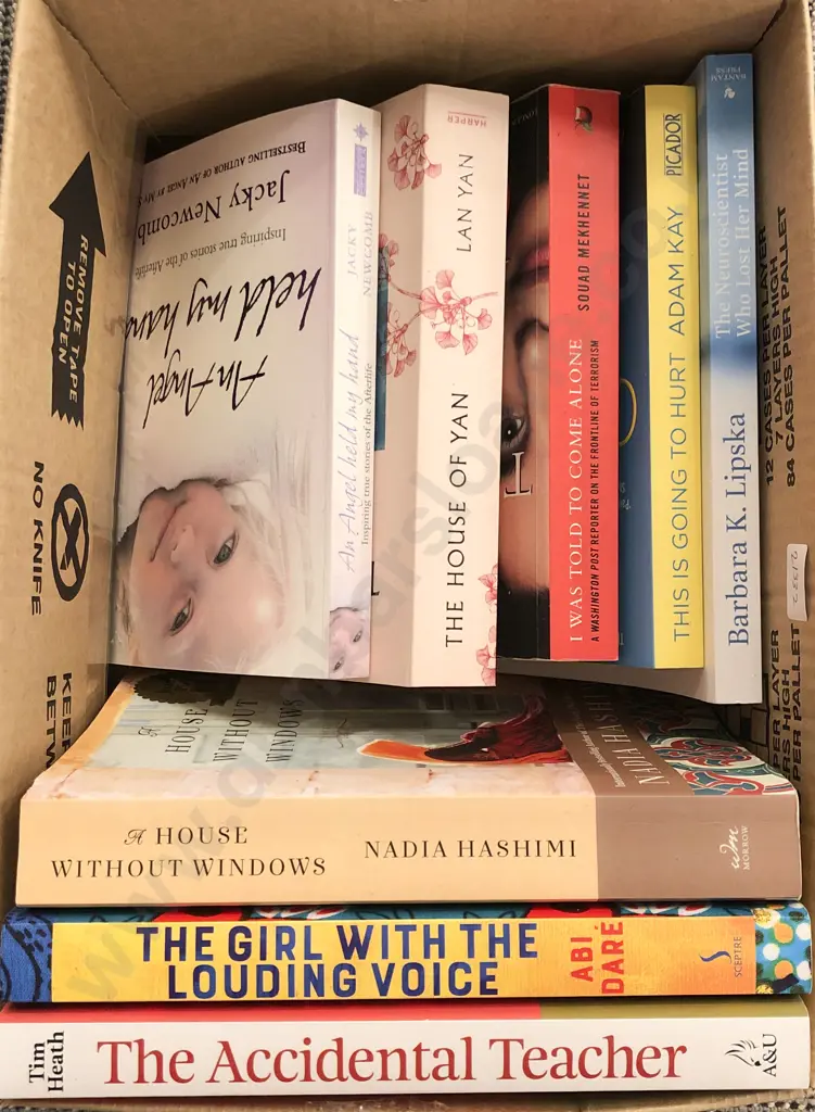 Box of Assorted Modern Novels Image 1++