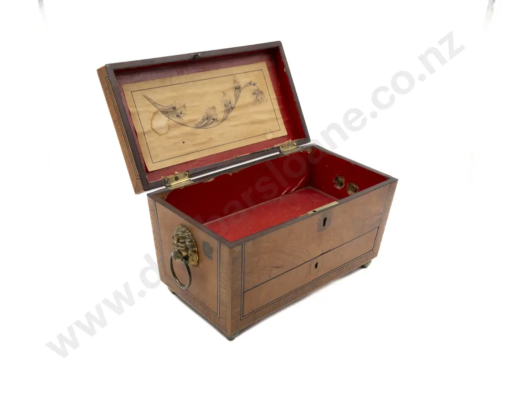 Attractive Regency Satinwood & Rosewood Writing Box Image 1++