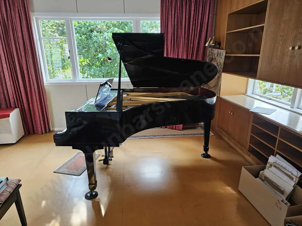 Bluthner Baby Grand Piano Image 1++