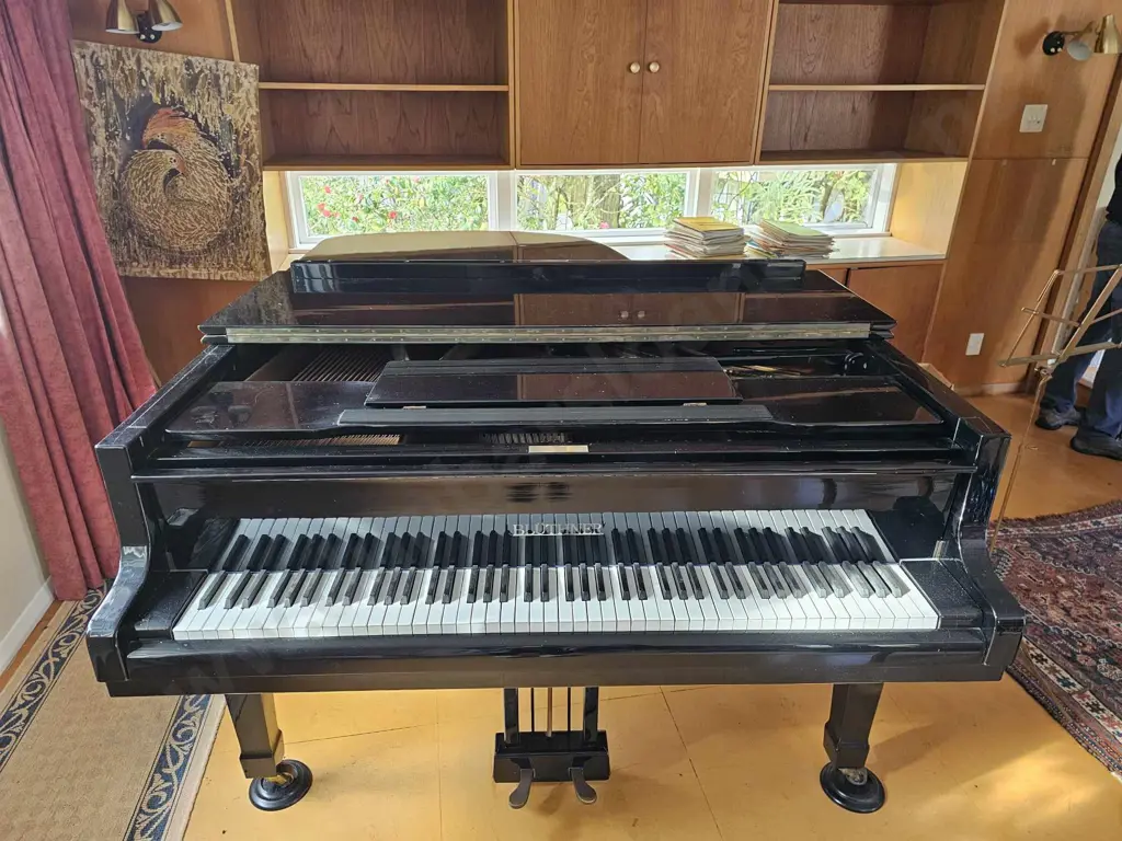 Bluthner Baby Grand Piano Image 1++