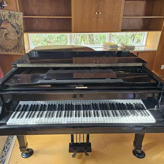 Bluthner Baby Grand Piano