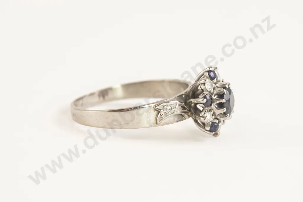 18ct White Gold Eleven Stone Sapphire and Diamond Cluster Ring Image 1++